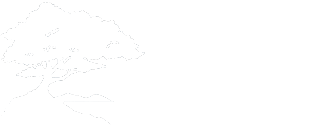 Madrona Point Insurance